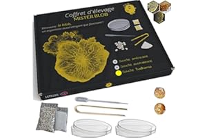 MISTER BLOB - Kit d'élevage de Blob souche Badhamia - Kit de Culture Blob - Experiences scientifiques Enfants - Blob kit Vivant - Cadeau Fille garçon ludique - kit Blob - Jeux scientifiques