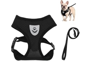 Bieiyhe Harnais pour Chaton Reglable,Harnais Chien Petite Taille,Harnais et Laisse pour Chaton,Harnais de Sécurité pour Chat,Harnais Animalin,Arnet pour Chien Réfléchissant pour Chaton,Chien-Noir S