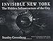 Invisible New York: The Hidden Infrastructure of the City: The Hidden Infastructure of the City (Creating the North American Landscape) by Stanley Greenberg, Thomas Garver