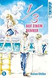 Cover zum Buch 1/3. Auf einem Nenner 1