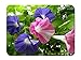 Produktbild BGLKCS Pink and blue morning glory - Flower- #31091 Mauspads Customized Rectangle Non-Slip Rubber Mousepad Gaming Mauspads 8.6x7.1 Inches