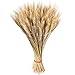 Produktbild ZZM Trockengras Blumenstrauß, große Weizenkörnchen, künstliche Blumen, natürliche getrocknete Primärfarben, echte Weizen, Gartenpflanzen, Blumenstrauß Dekoration für Hochzeiten, Basteln
