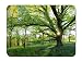 Produktbild Most Beautiful Spring Landscapes On Earth - Customized Rectangle Non-Slip Rubber Mousepad Gaming Mouse Pad 8.6"x7.1"(22cmx18cm)