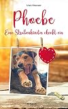 Cover zum Buch Phoebe
