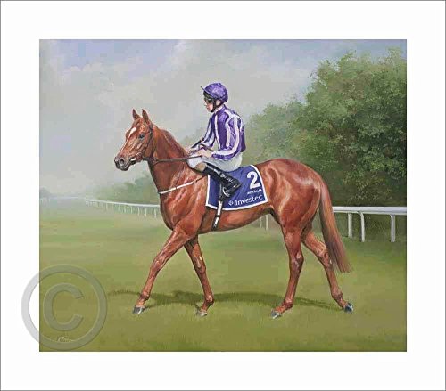 Australia & Joseph O'Brien - JS 470. A limited edition horse art print by Jacqueline Stanhope.