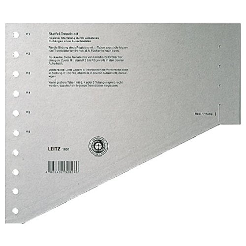 Leitz 16510085 Trennblatt, A4, gestaffelt, Karton, grau