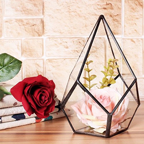 Luft Pflanzer Mini Glasterrarium Geometrisches Glas Sukkulente Pflanzgefäß Haus Dekoration 16x16x25cm – Kupfer - 8