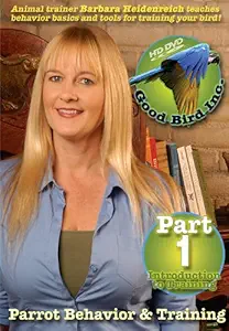 Parrot Behavior and Training Part 1: Introduction to Training