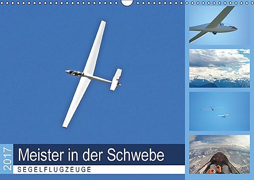Meister in der Schwebe: Segelflugzeuge (Wandkalender 2017 DIN A3 quer): Segelflieger: Die Nachfahren Otto Lilienthals (Monatskalender, 14 Seiten ) (CALVENDO Sport)