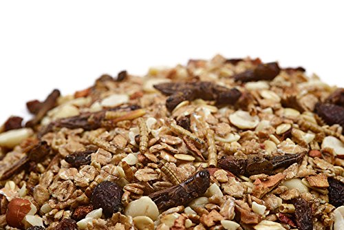 Erdtmanns Igelfutter, 1er Pack (1 x 800 g) - 5