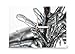 Produktbild HourLeaf UK "Baum Freeze Wanduhr, Silber, 30 x 21 x 4,5 cm P, Plastik, Silber, 30 x 21 x 4.5 cm