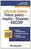 Image de Concours commun trésor public - impôts - douanes - DGCCRF : Annales 2010