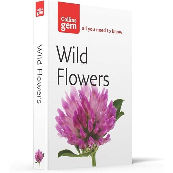 British Wildlife In October - Discover Wildlife - Foto 4