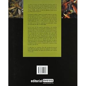Moscas para trucha y salmón : como hacerlas y utilizarlas (Manuales (everest))