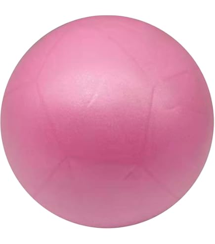 HOLEMZ Ballon De Pilates Mini 25cm Balle De Yoga Rose Stabilité Avec Paille De Gonflage Anti-éclatement Pour Physiothérapie Gymnastique Le Fitness Formation Et Physiques Therapy