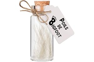 MISTER CURIOSITIES Relique dans une fiole en verre de l'abominable homme des neiges, idée de cadeau insolite pour cabinet de curiosités, big foot, sasquatch, almasty