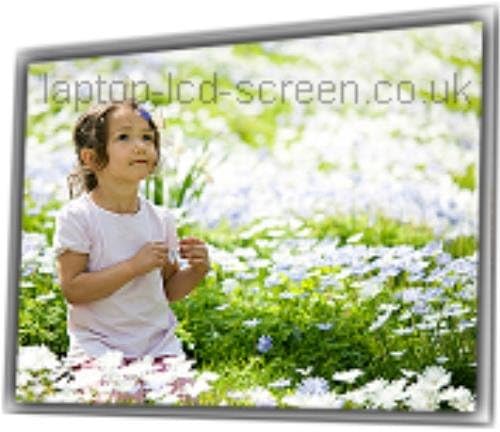 Acer Aspire 4520 5098 14.1 replacement laptop LCD screen