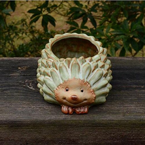 Preisvergleich Produktbild greencherry (TM) Cute Animal Cartoon Blumentopf Sukkulente Übertopf Igel
