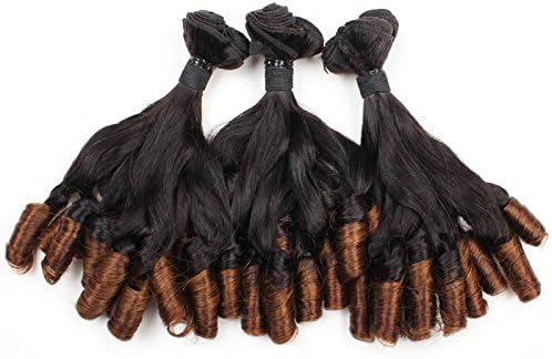 Lolly Funmi Hair 10A Ombre Spring Curly Wave Bundles Virgin Remy Hair Weaves Unprocessed Human Hair Extensions T1B/#4 Color (10 12)