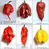 60 Semillas Pura De Los 6 Pimientos Chiles Mas Picante En El Mundo Colleccion 6: Carolina Reaper Etc