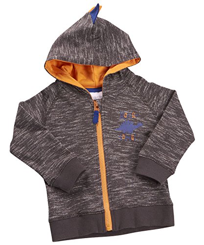 BABYTOWN Baby Boys 100% Cotton Dinosaur Hoody Zipper Dino Hoodie Top Gift (12-18 MONTHS 86CM, CHARCOAL)