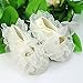 Itaar Cute Non-Slip Newborn Shoes Baby Girl Toddler Cloth Shoes With Beautiful Lace