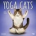Produktbild Yoga Cats - Joga-Katzen 2019 - 18-Monatskalender (Wall-Kalender)