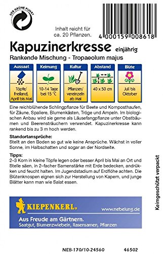 Kiepenkerl Kapuzinerkresse Rankende Mischung - 2