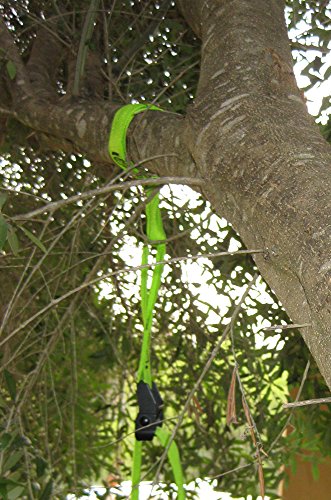 eaglefit® Sling Trainer PROFESSIONAL – Schlingentrainer, Functional Training – Modell 2017 - 4