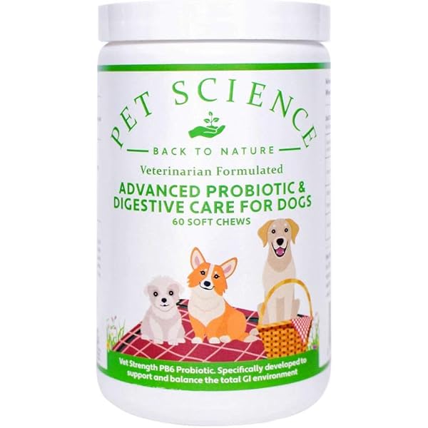 probiotic digestive balance for dogs