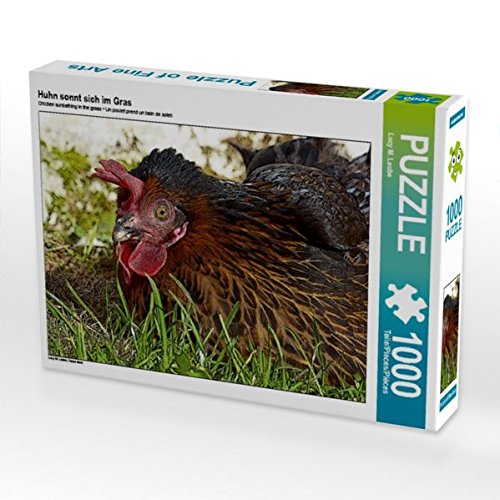 Preisvergleich Produktbild Huhn sonnt sich im Gras 1000 Teile Puzzle quer (CALVENDO Tiere)