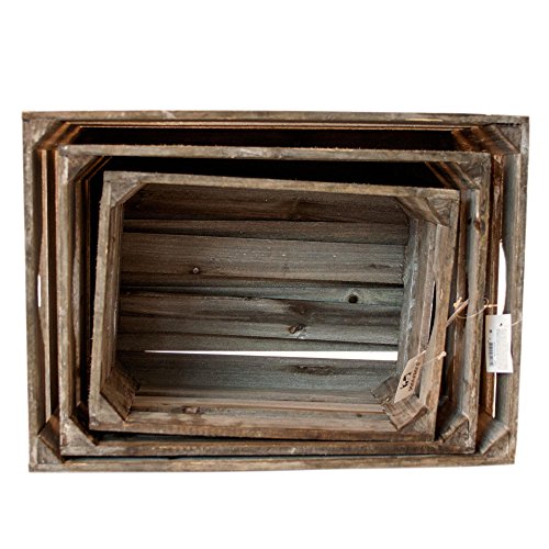 3er-Set Weinkisten Holzkisten Holzkiste Holz braun – L42/36/30cm - 5