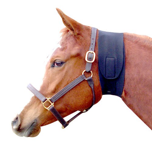 Хомут на шею лошади. Накаченный шея лошади. На лошадь одевают на шею. Что накинул главный герой коню на шею. Лошадь с изогнутой шеей.