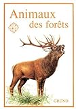 Animaux des forêts