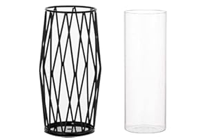 JUZAI Vase Décoratif en Verre avec Support Métallique, Design Géométrique Élégantpour Centres de Table et Décoration Intérieure, pour Fleurs, Pampas et Plantes Hydroponiques - 22 cm, Noir