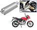 Auto Pearl Premium Quality High Performance Bike Exhaust Muffler Silencer Triangle Silver For - Bajaj Pulsar 150 RS.2899.00