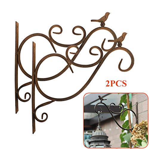 Dproptel, Confezione da 2 staffe da Parete per Piante da Giardino, Balcone, Decorazione Esterna, in Ferro battuto con Uccelli, Ganci da Parete per Appendere vasi da Fiori, Lanterne con Viti