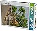 Produktbild TORRI DEL BENACO Altstadt 1000 Teile Puzzle hoch: Am Gardasee (CALVENDO Orte)