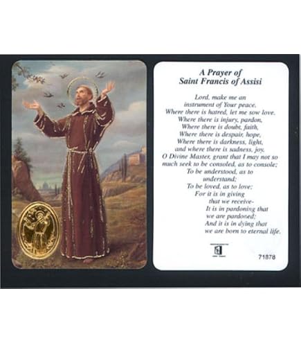 Prayer Cards Laminated St. Dymphna Prayer Holy Card - Patron Saint Of ...