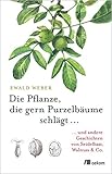 Die Pflanze, die gern Purzelbäume schlägt ...: ...und andere Geschichten von Seidelbast, Walnuss & Co. by 