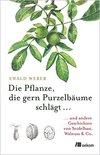 Die Pflanze, die gern Purzelbäume schlägt ...: ...und andere Geschichten von Seidelbast, Walnuss & Co.