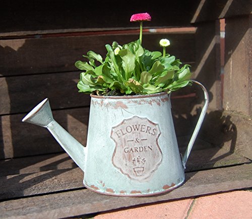 Gießkanne Blumentopf Flowers & Garden antikgrün H 12cm - 3