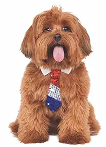 Rubie's Costume Co Patriotic Tie for Pets, Medium-Large