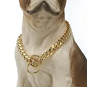 Regiis Dog Collar Chain, Brass Dog Collar for Dogs (Large)