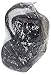 New Raincover For Babystyle Car Seat Rain Cover (228)