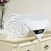 LILYSILK Summer Silk Duvet With Cotton Shell Filled by 100% Mulberry Silk Duvet 1Pc Double-200x200cm