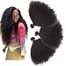 HmtAfro 100% Virgin Hair 7A+ Grade 300 Gram Afro Kinky Curly Natural Color(8'' 8'' 8'')