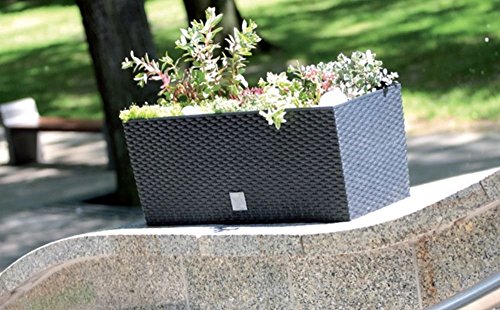 Blumentopf Blumenkasten Blumenkübel Polyrattan Bewässerung 4 Farben 2 Größen (600 anthrazit) - 7