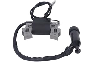 FAFEICY Bobina de Encendido para Generador de Gasolina y Motor de Gasolina 168F - Compatible con GX240, GX270, GX340, GX390