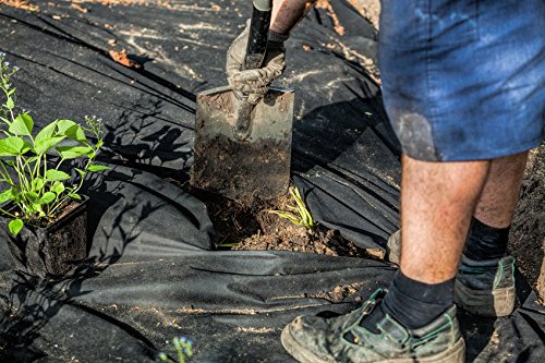 150 Gramm/m² Unkrautvlies, Gartenvlies 1,0 m x 25 m - 9